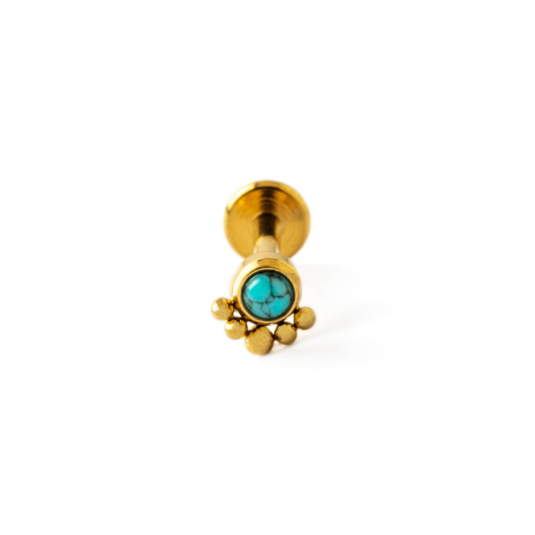 Layla golden labret with Turquoise frontal view