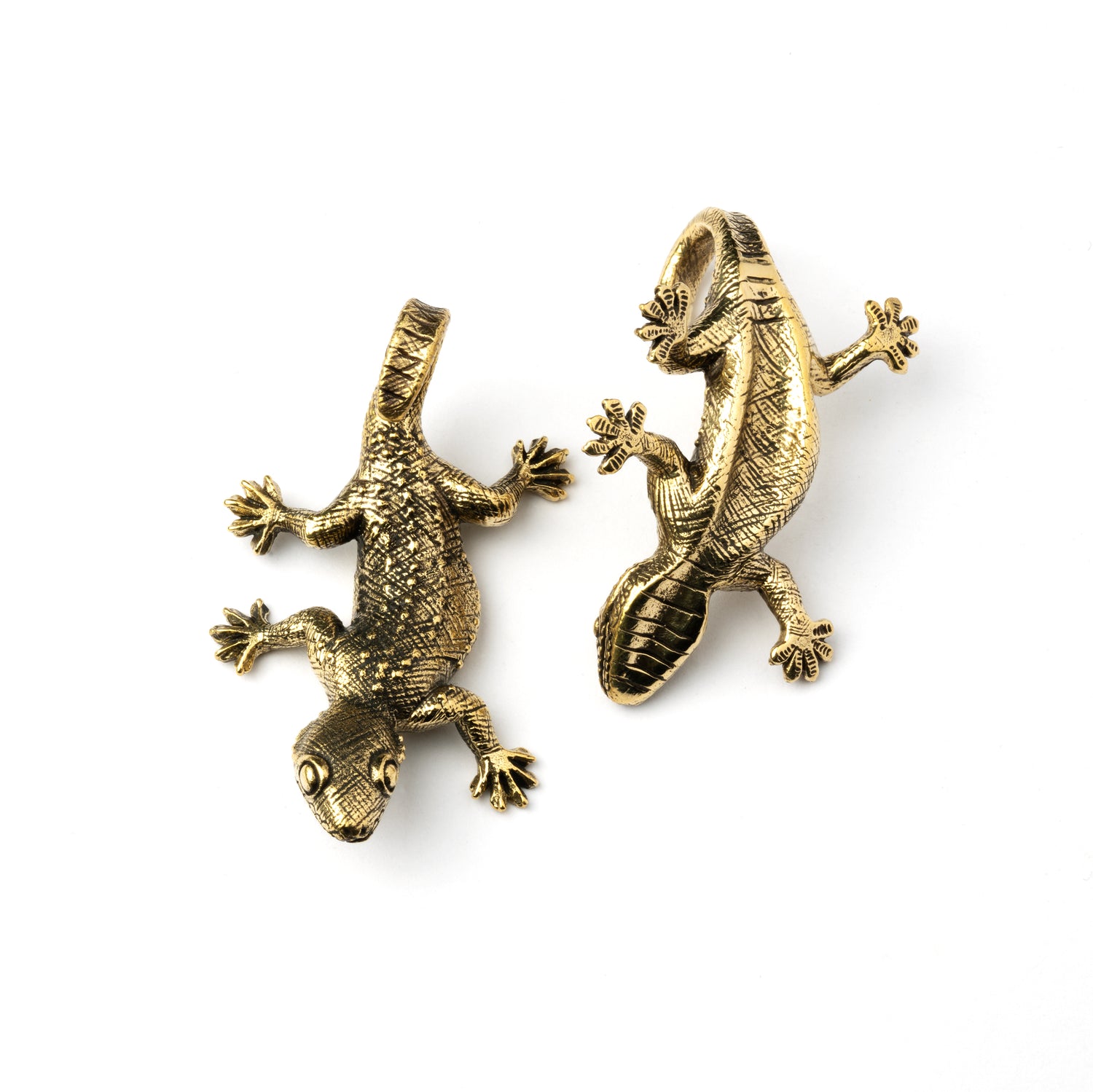 pair of gold brass lizard ear hangers front and back view