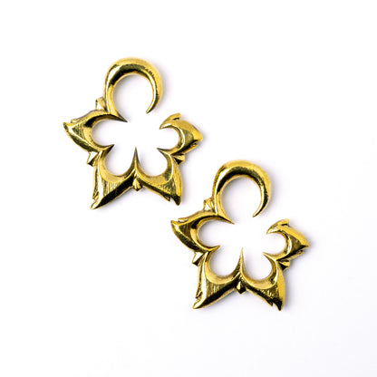 pair of gold brass flower open shape ear weights hangers frontal view