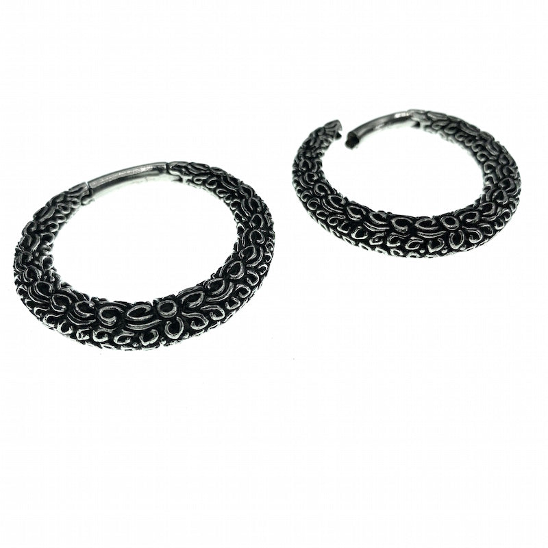 Nagini Brass Hoop Ear Weights