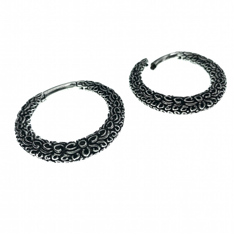 Nagini Brass Hoop Ear Weights