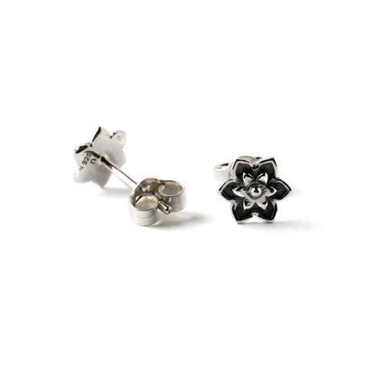 Narcissus-silver-stud-earrings