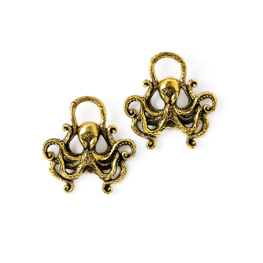 pair of golden brass octopus ear weight hoops frontal view