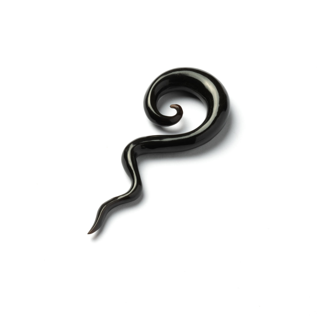 Civières d’oreilles noires Wailuku