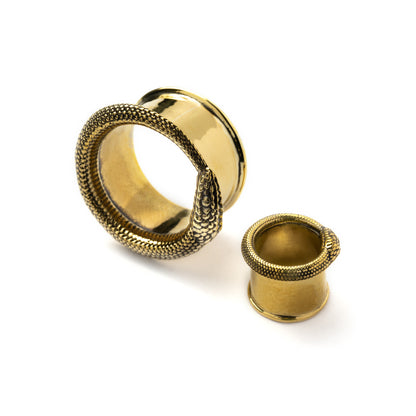 two sizes of Ouroboros golden brass ear tunnels