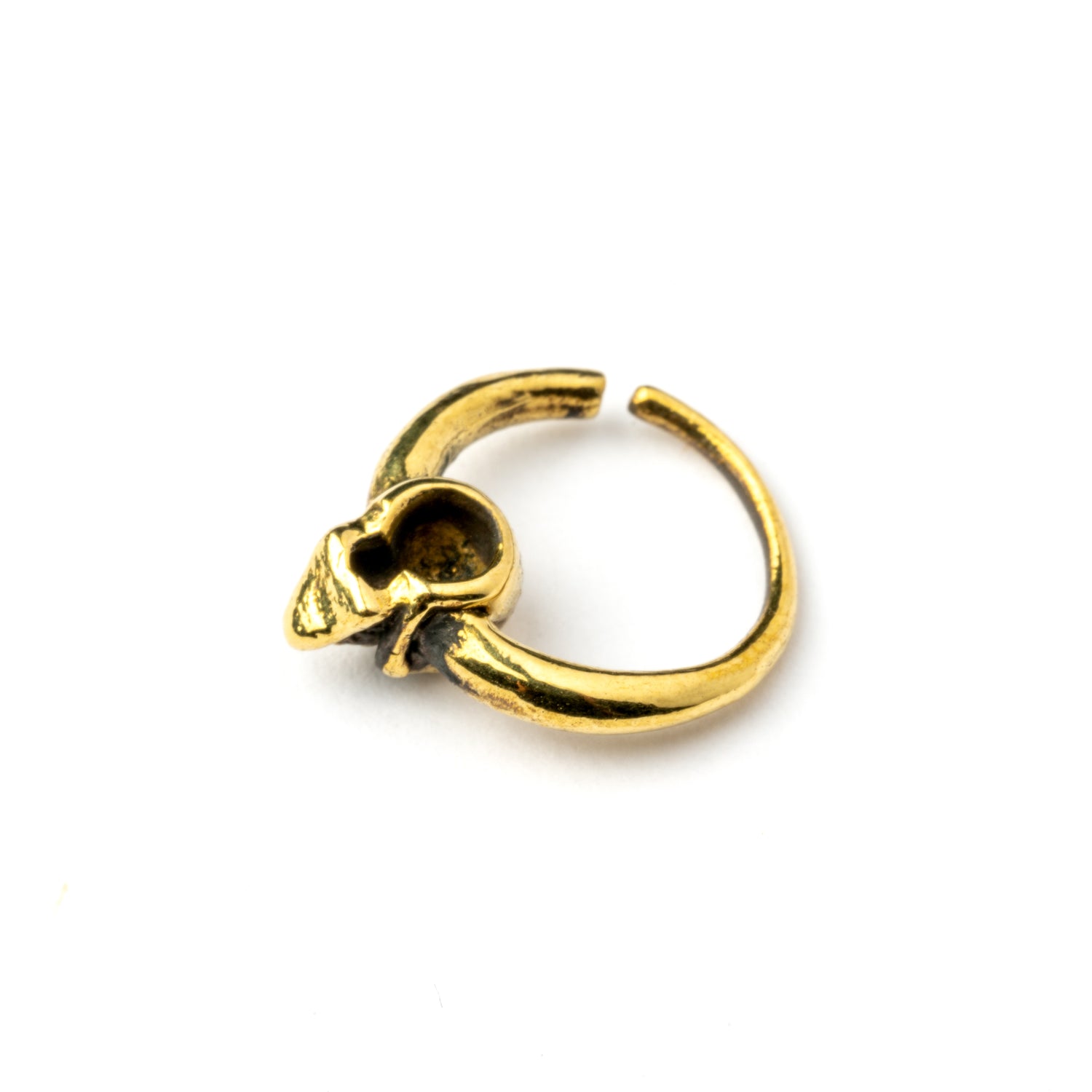 Pirate golden brass skull septum ring back view