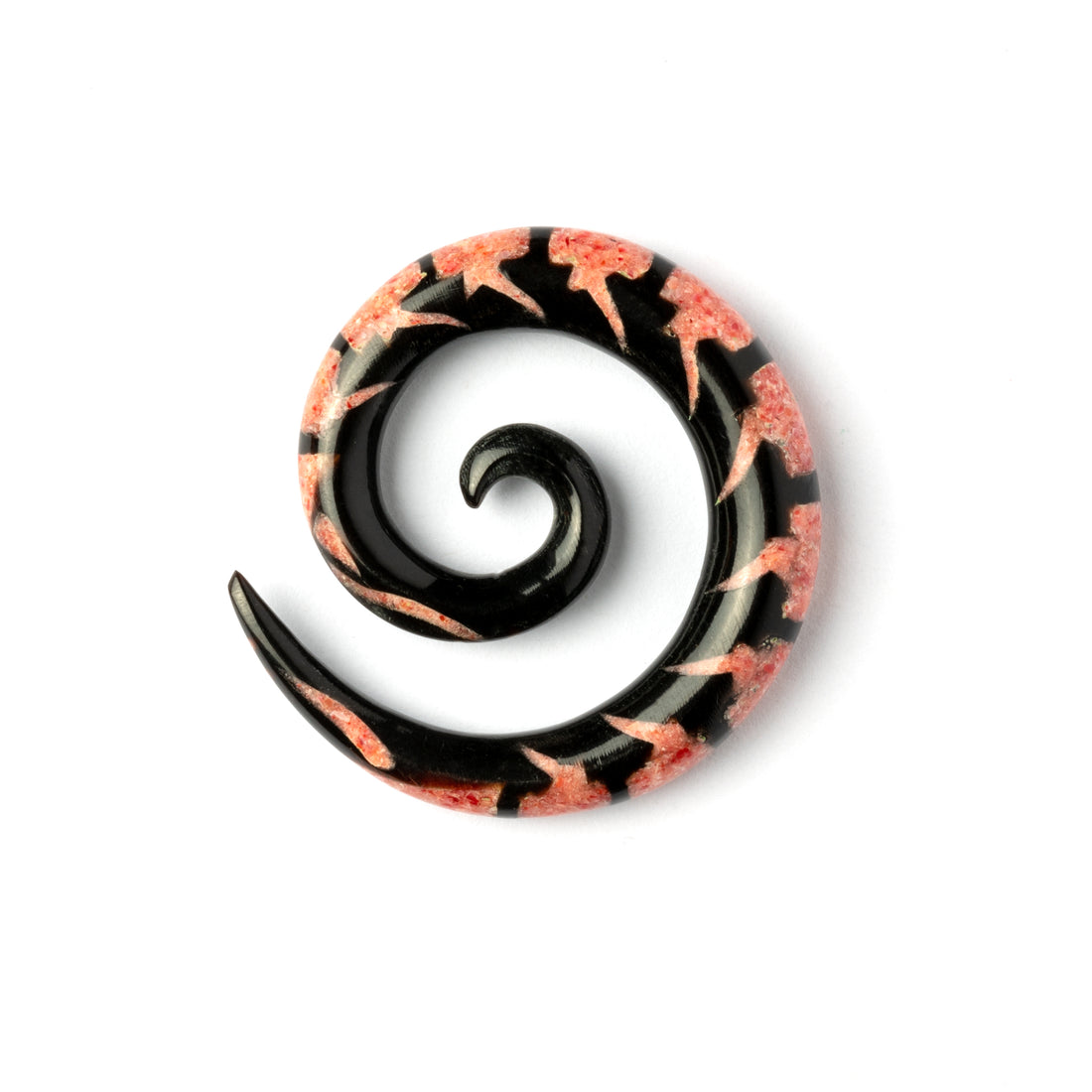 single spiral horn ear stretchers with centipede shaped red coral inlay side view