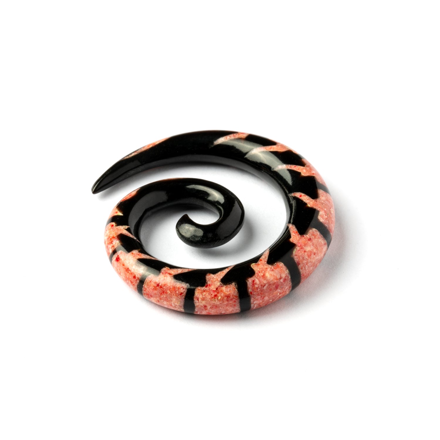 single spiral horn ear stretchers with centipede shaped red coral inlay front view
