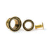 several sizes golden brass orbit ear tunnels front and side view