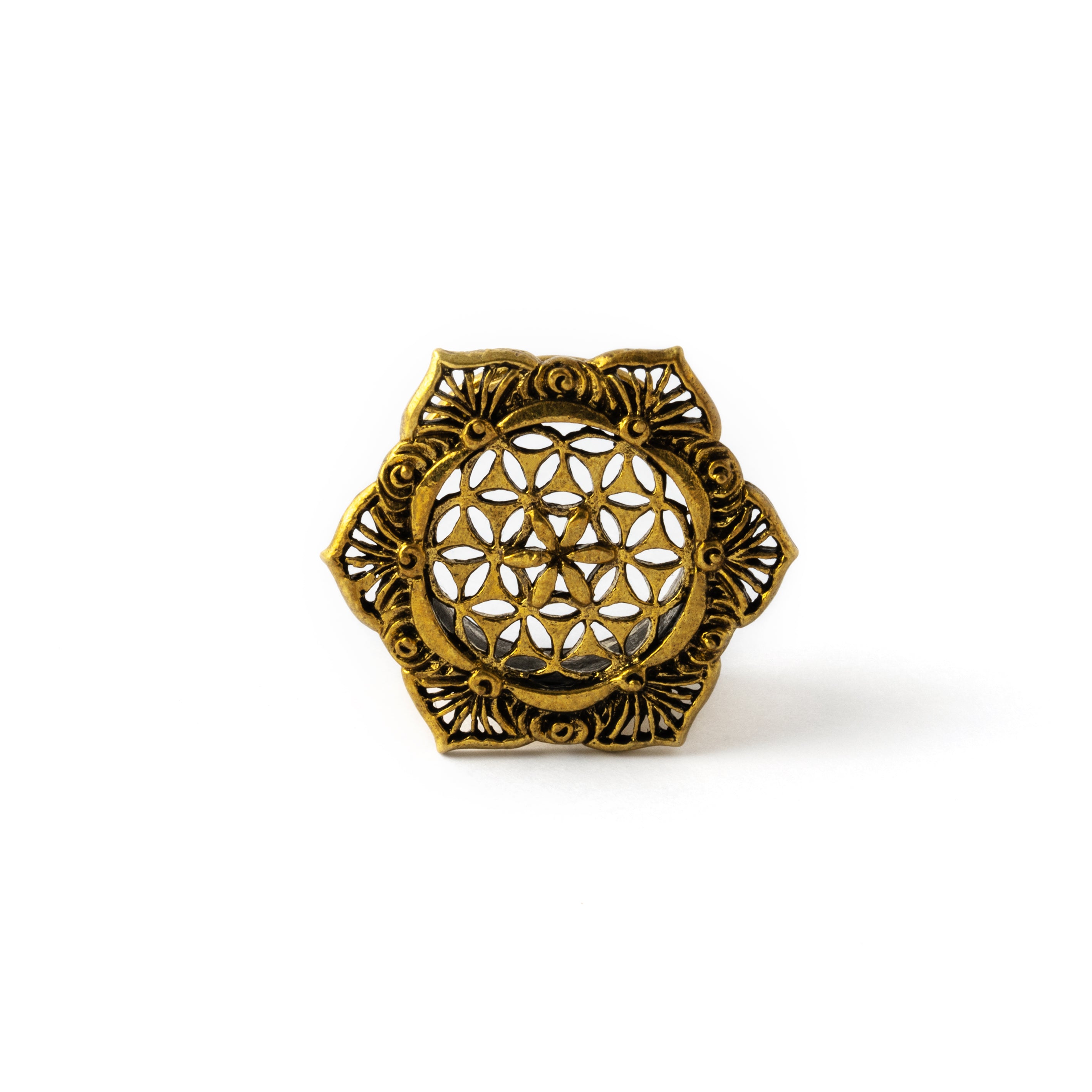 Seed of Life plug tunnel frontal view