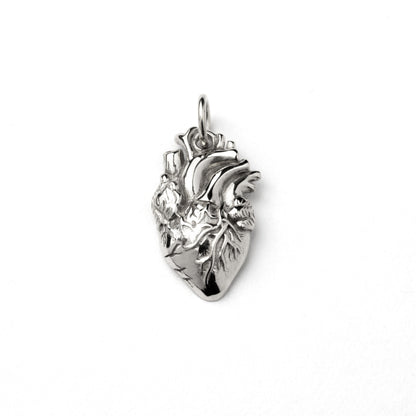 sterling silver anatomical heart charm necklace frontal view