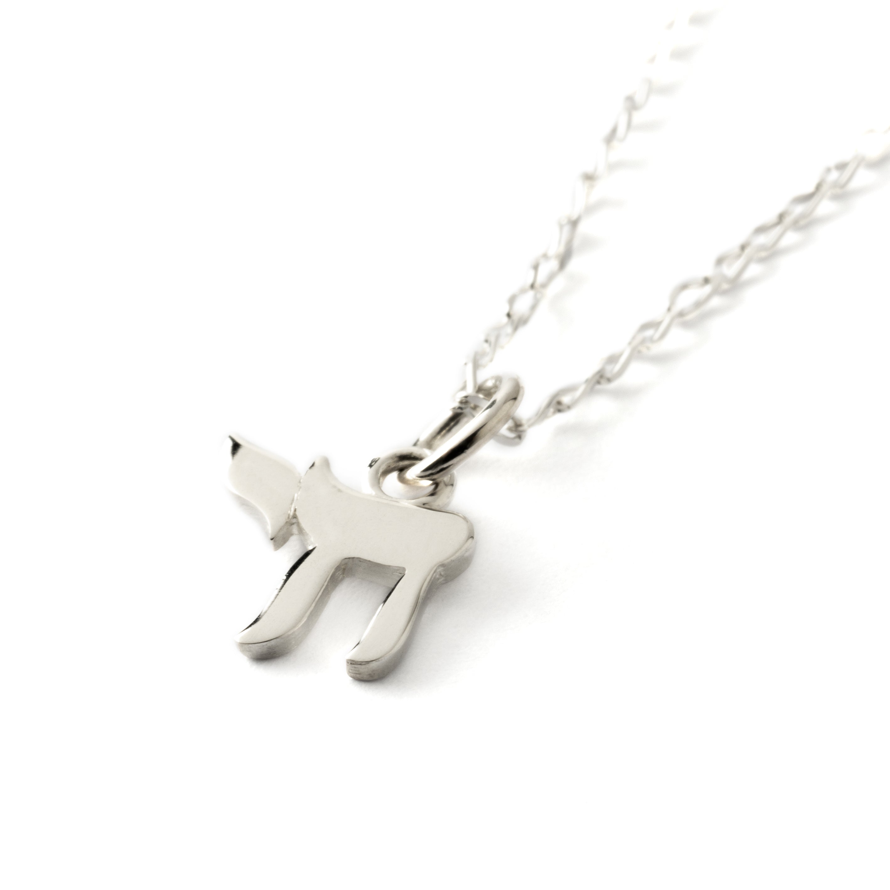 Silver-Hai-charm-necklace_2