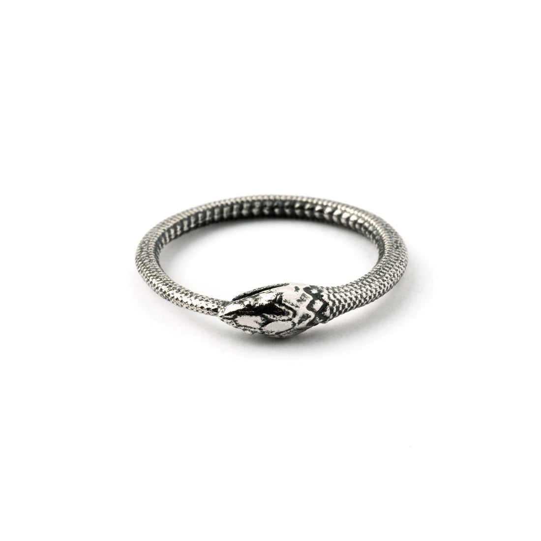 Silver Ouroboros snake band ring frontal view