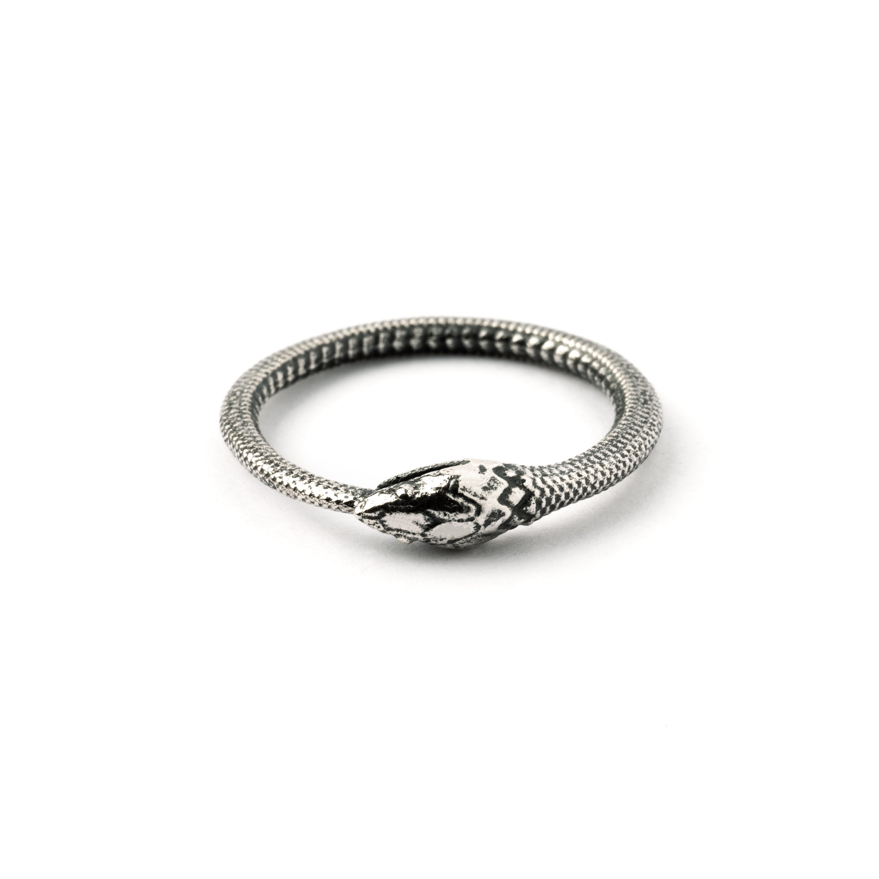 Silver Ouroboros snake band ring frontal view