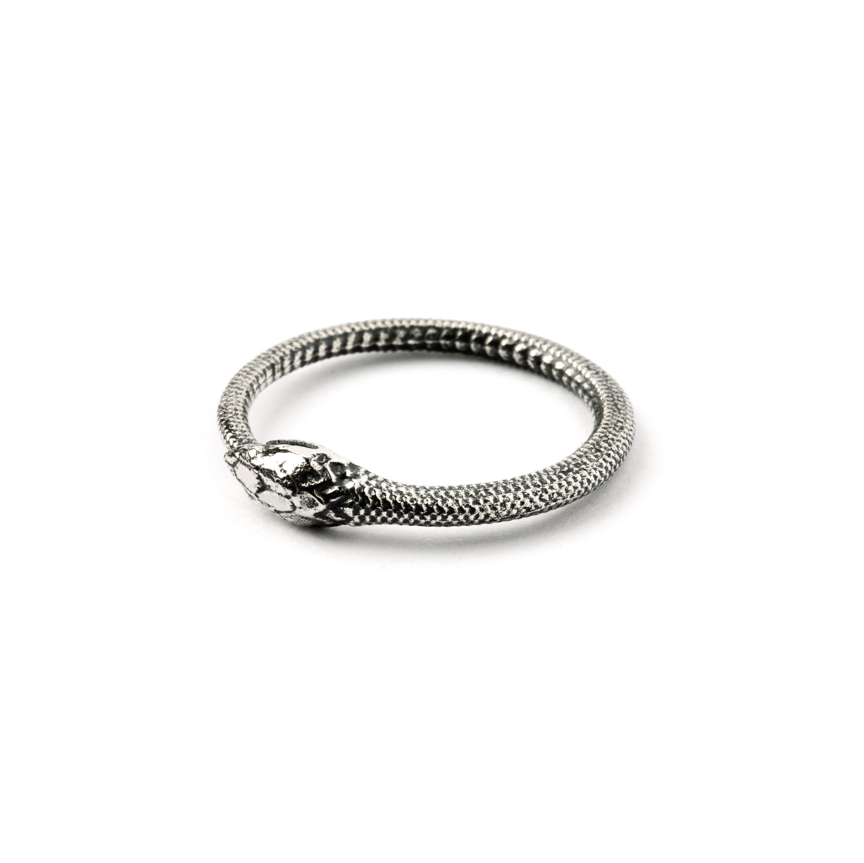 Silver Ouroboros snake band ring left side view