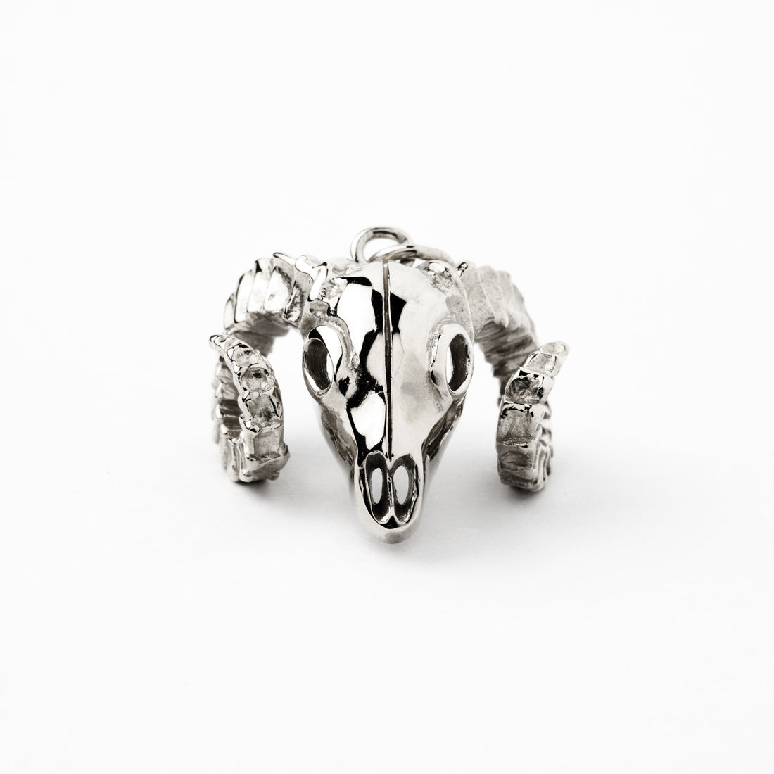 Bighorn silver charm necklace frontal  view