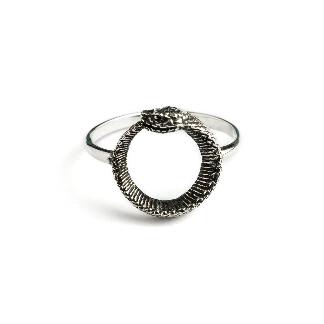 Silver Ouroboros Snake Ring frontal view