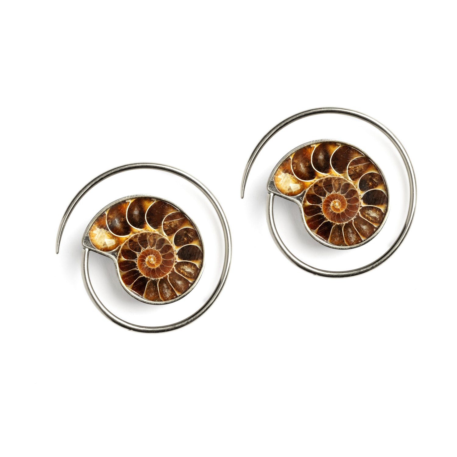 pair of silver spirals ear weights hangers with Ammonite fossil frontal view