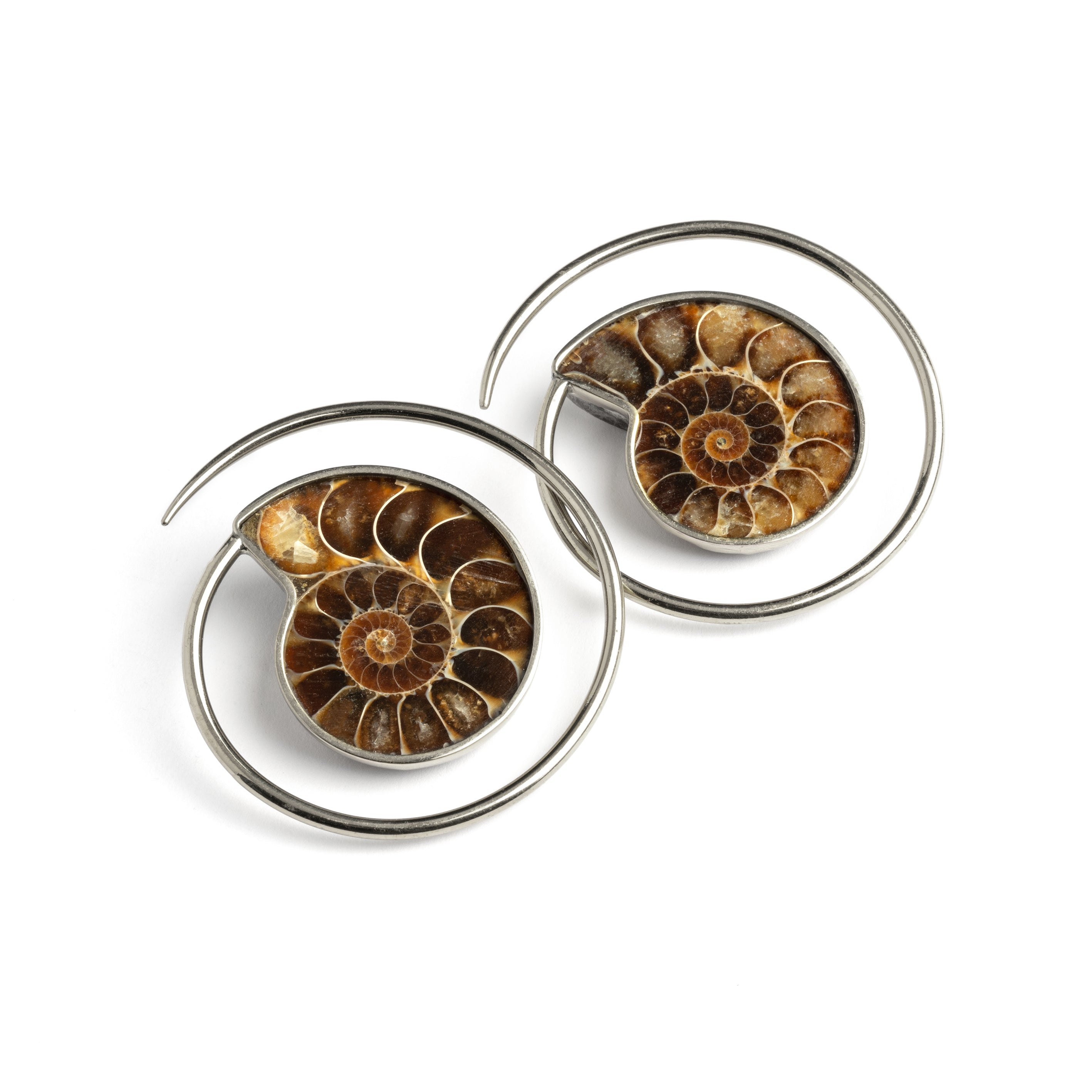 pair of silver spirals ear weights hangers with Ammonite fossil 