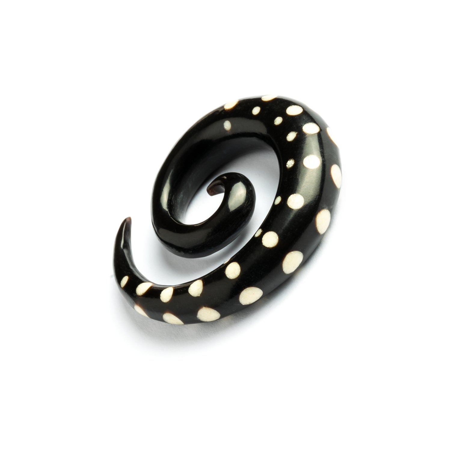 single horn spiral ear stretchers with white dots left side view