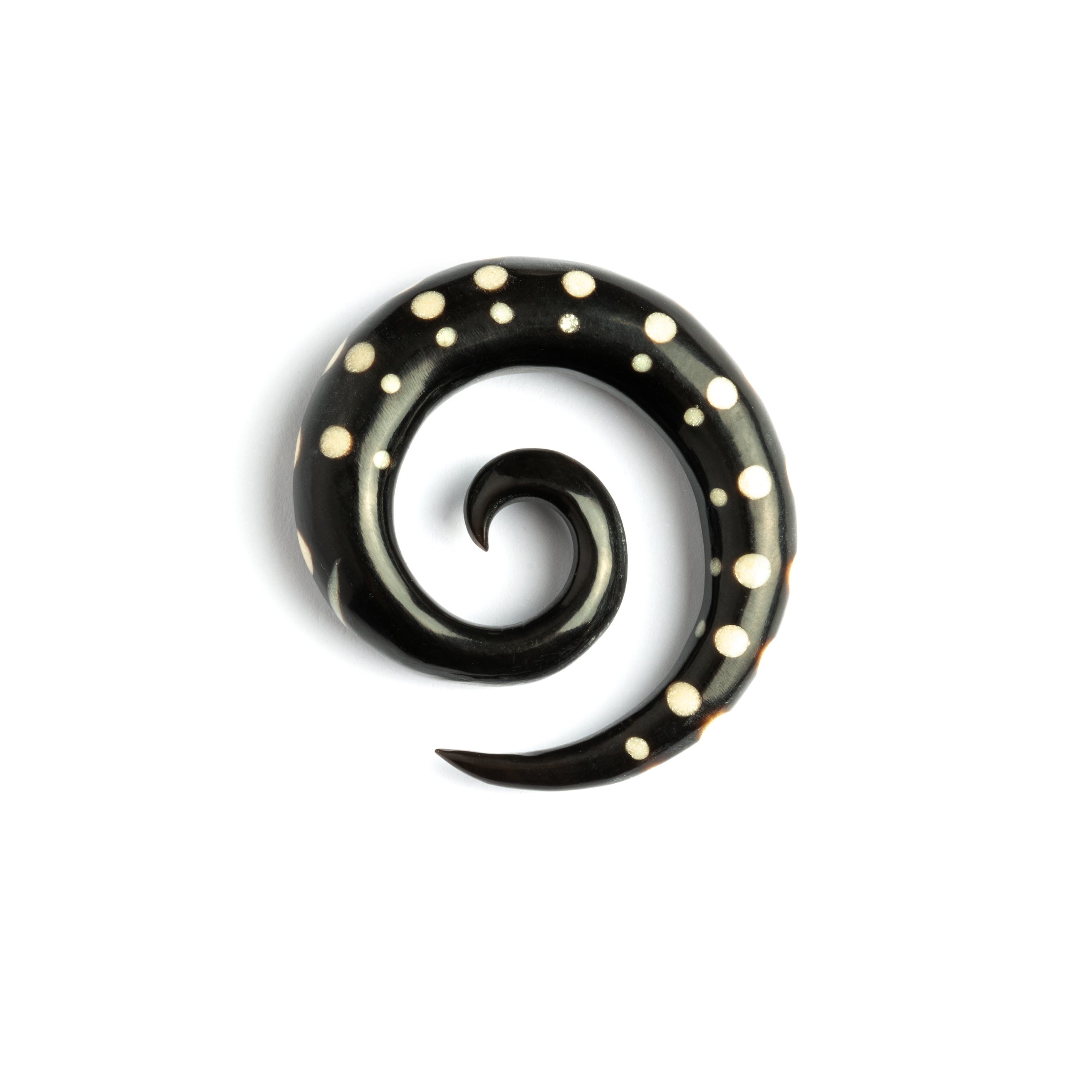 single horn spiral ear stretchers with white dots side view