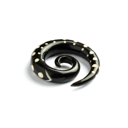 single horn spiral ear stretchers with white dots front view