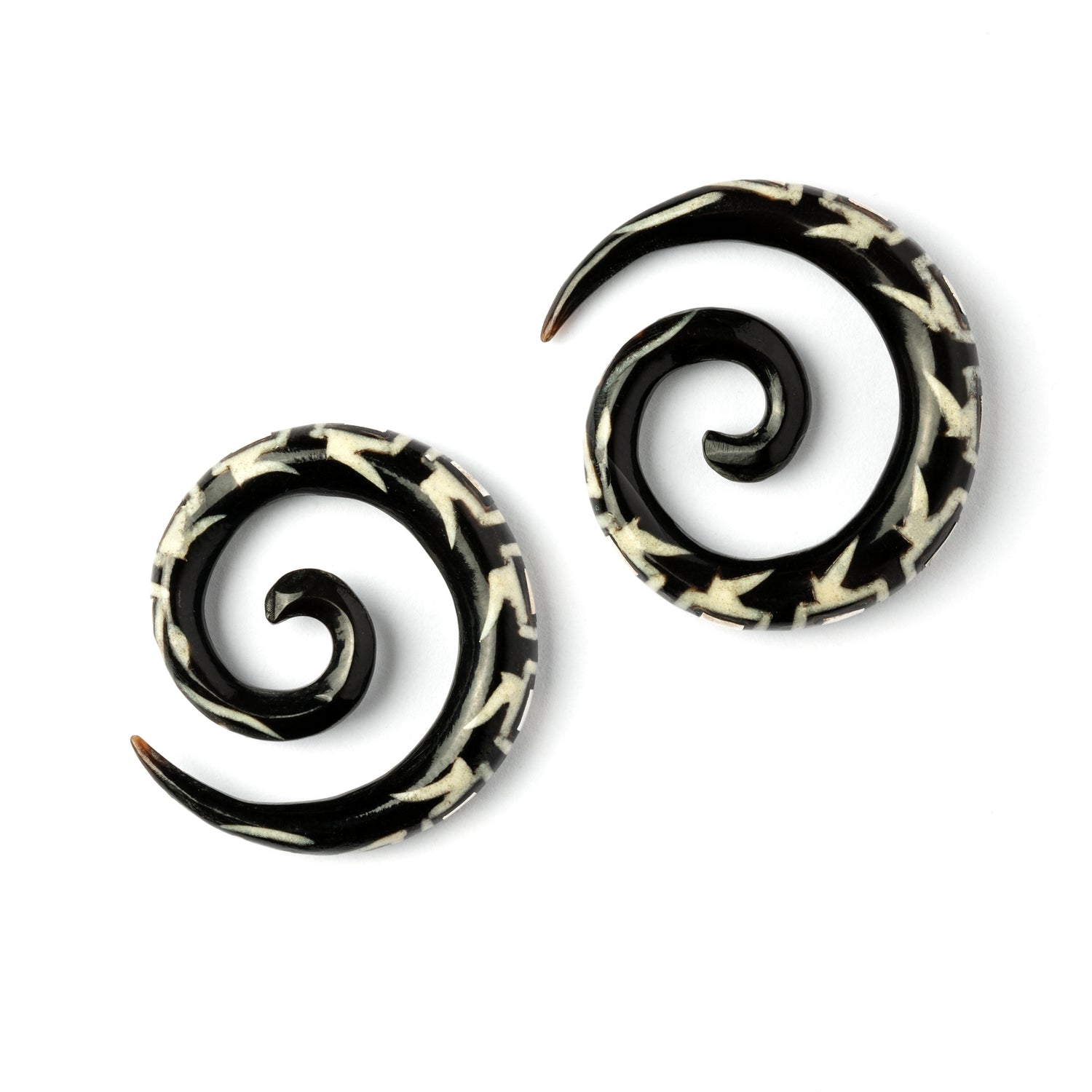 two spiral horn ear stretchers with geometric shaped inlaid with silver front view