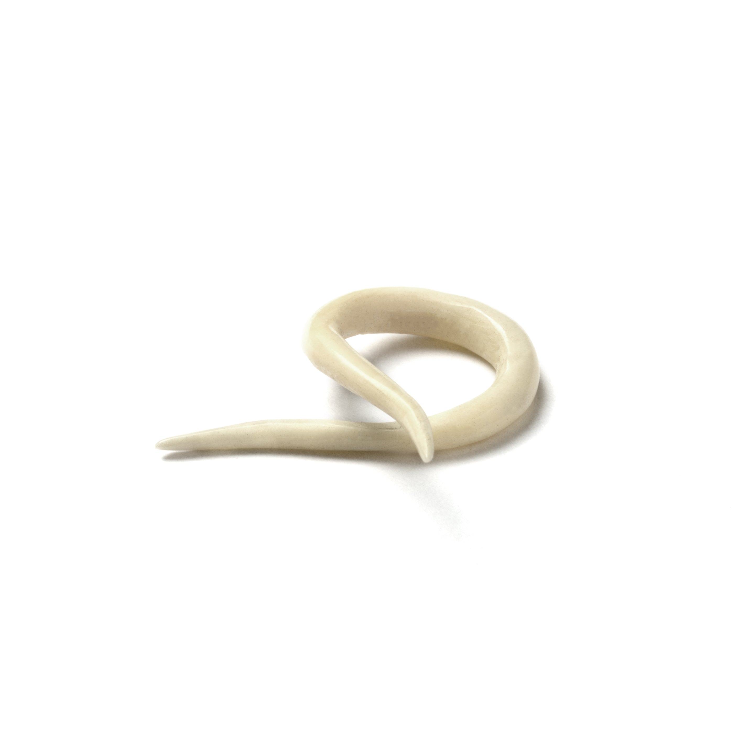 Twisted Bone Hook