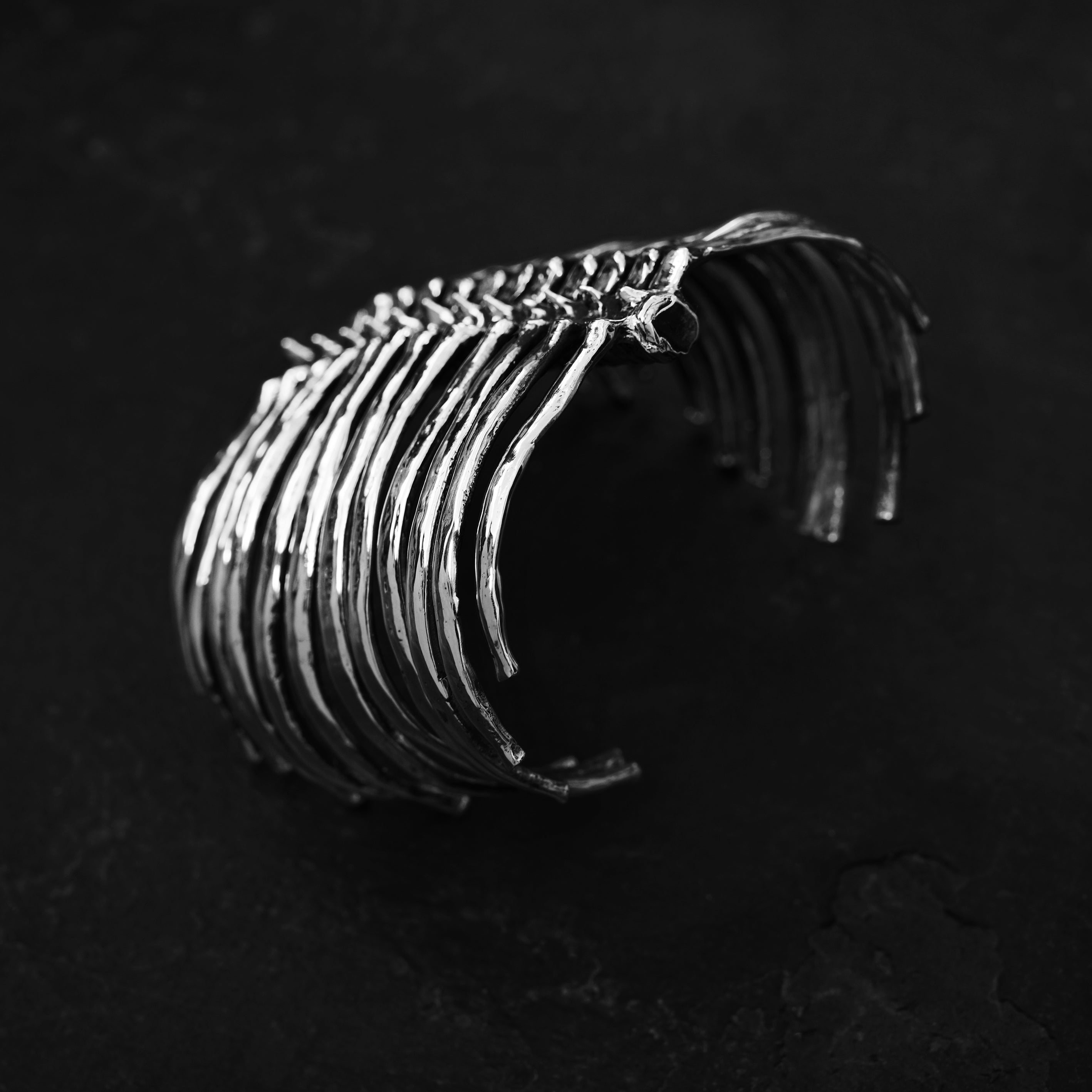 Vertebral-Column-Arm-Piece100_1