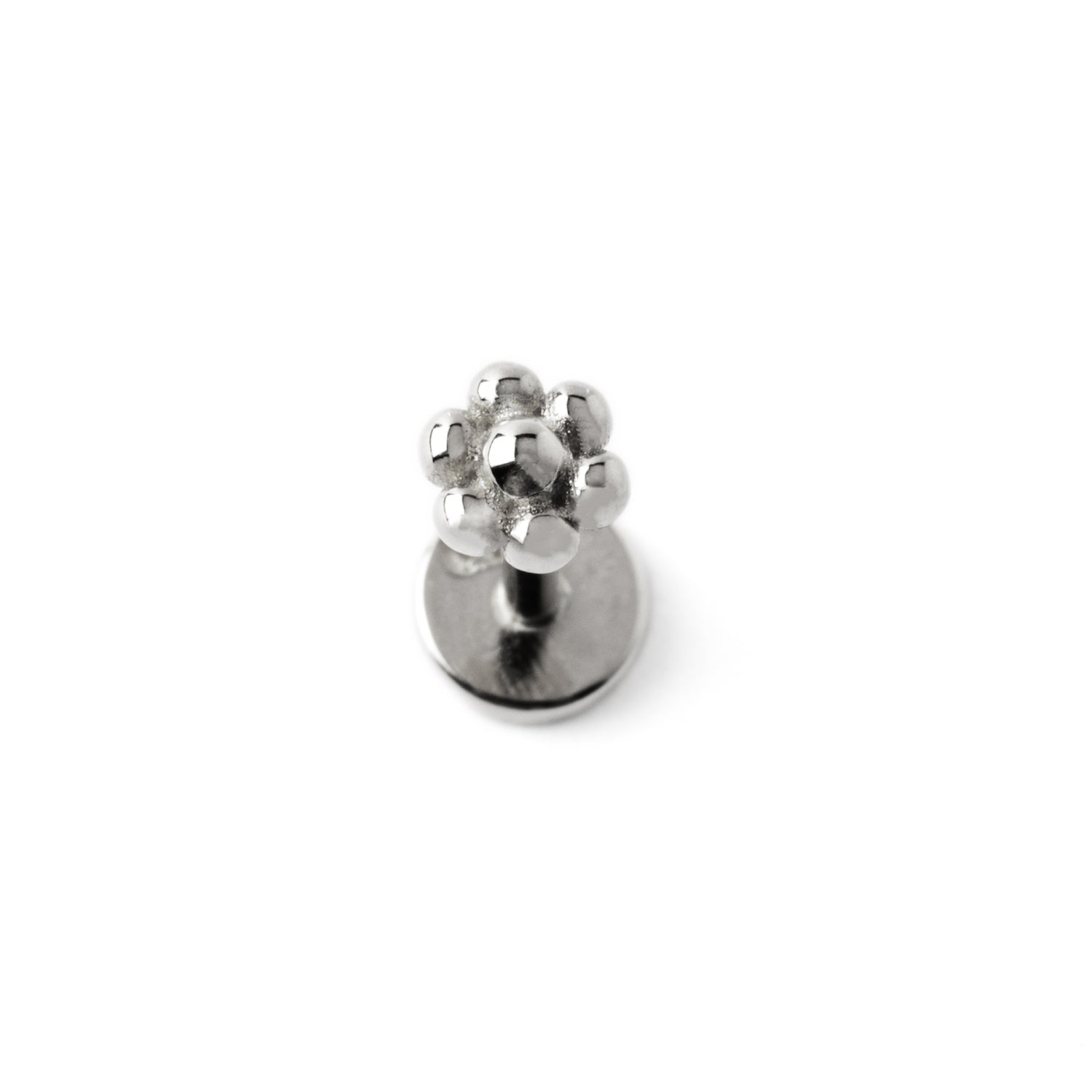 14k white Gold internally threaded screw back earring 1.2mm (16g), 8mm, dots flower labret stud frontal view