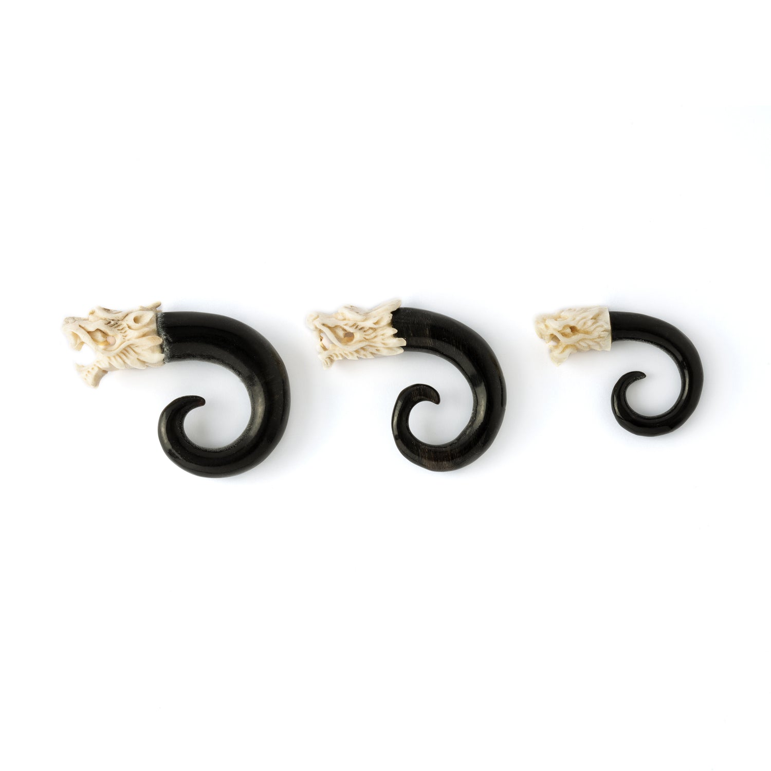 different sizes of White dragon head ear stretchers right side view