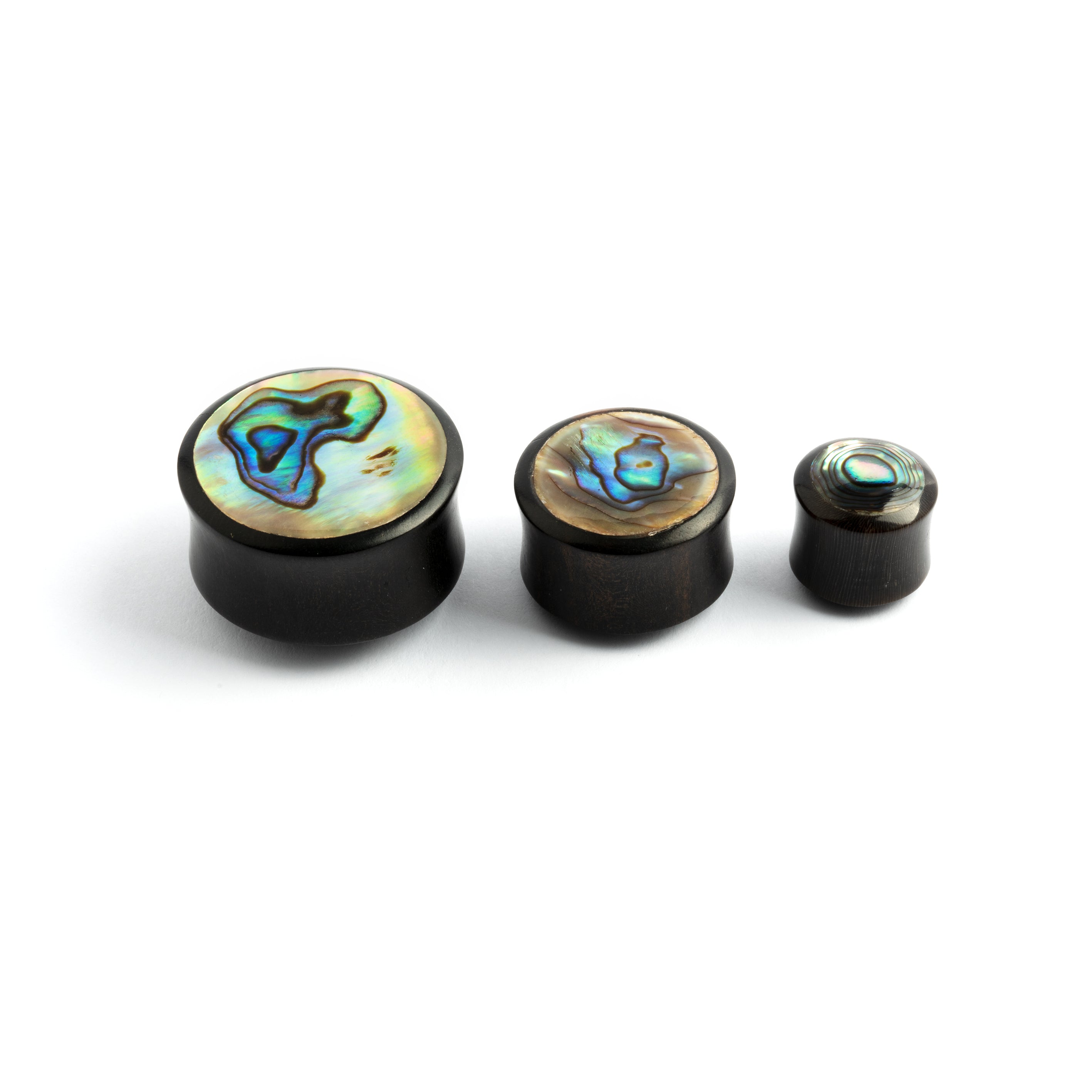 Wood and Abalone Plugs