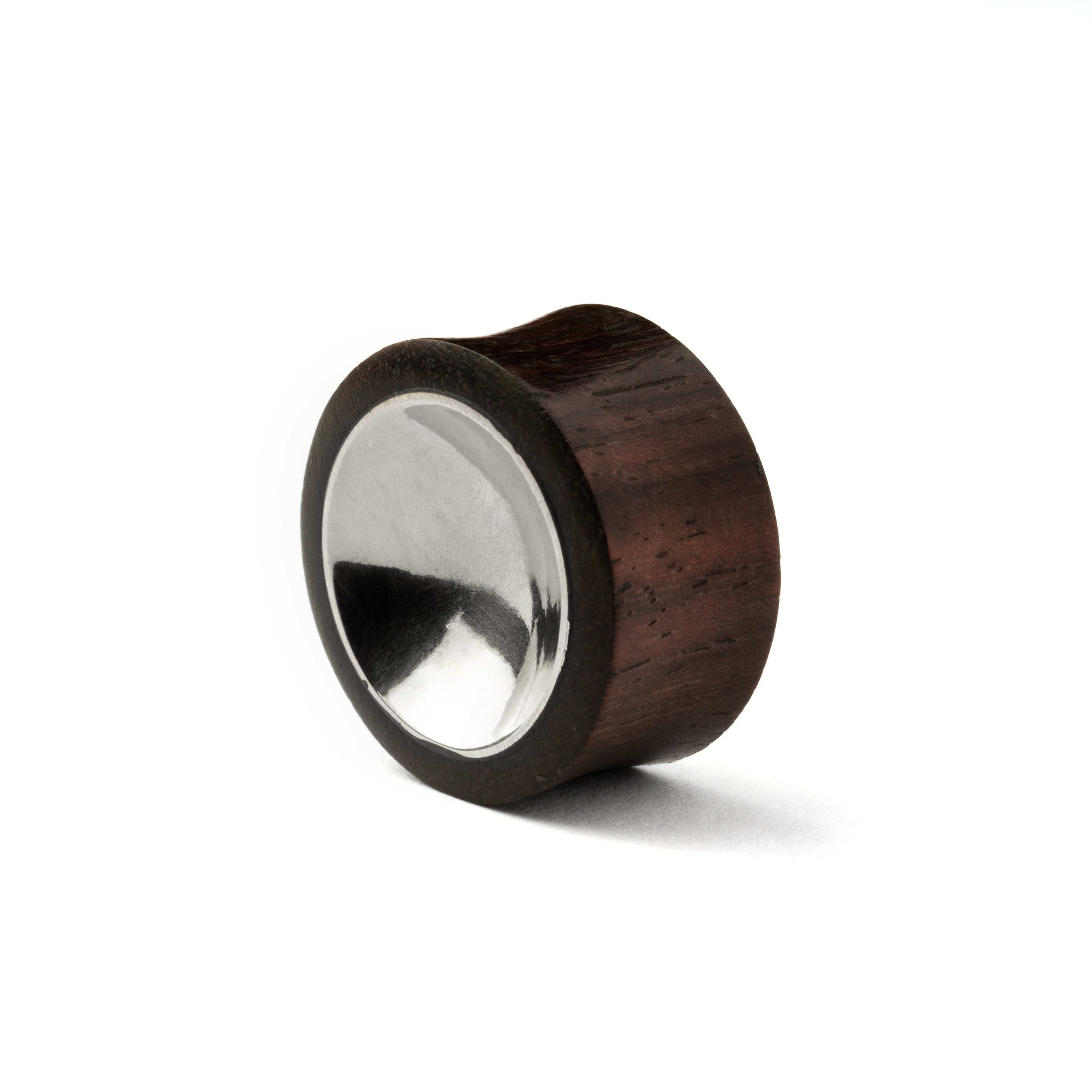 Wood and Silver Plug