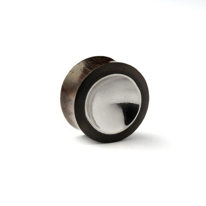 Wood and Silver Plug