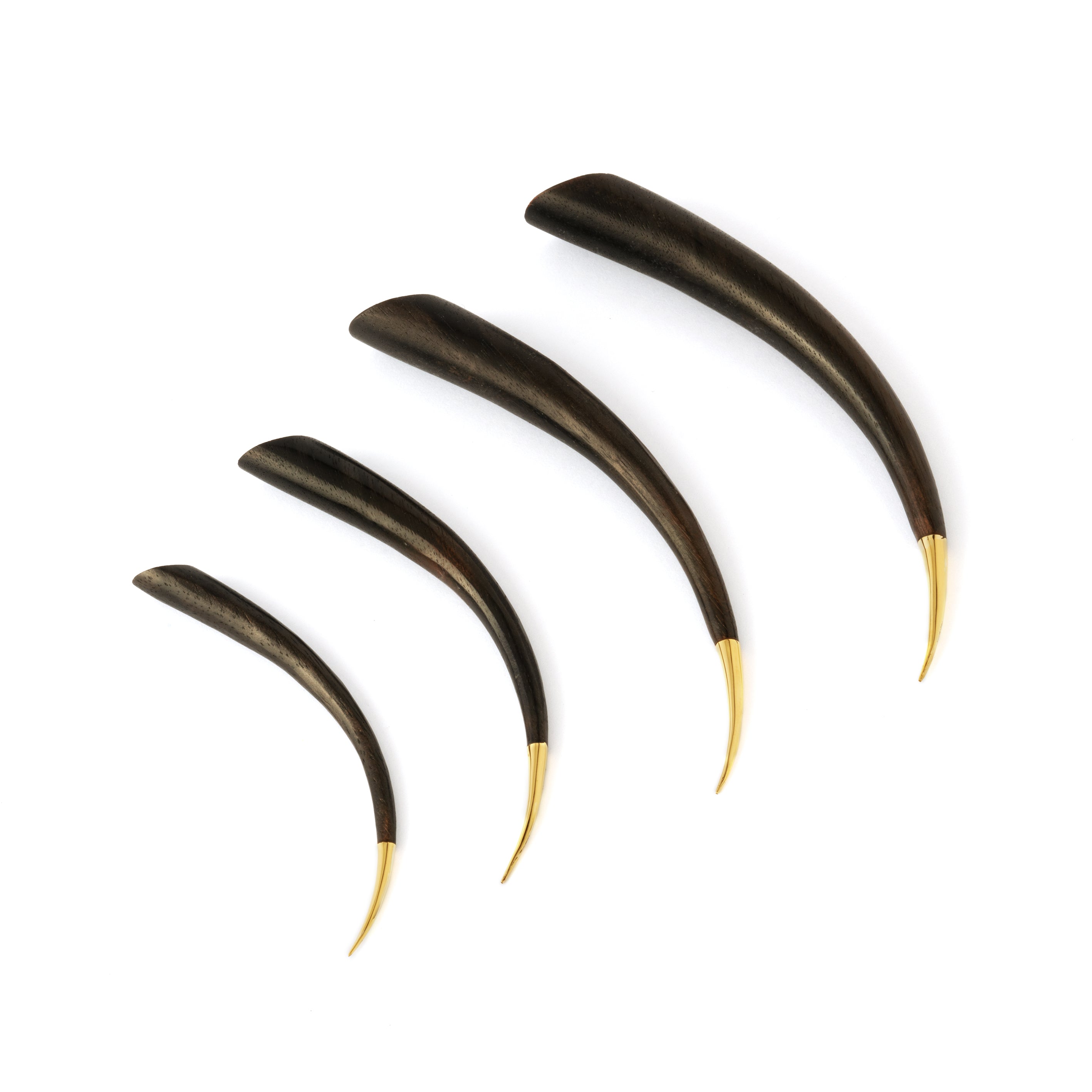 different sizes of Wooden spike with golden tip ear stretchers side view