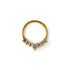 golden-adi-crystal-septum-clicker