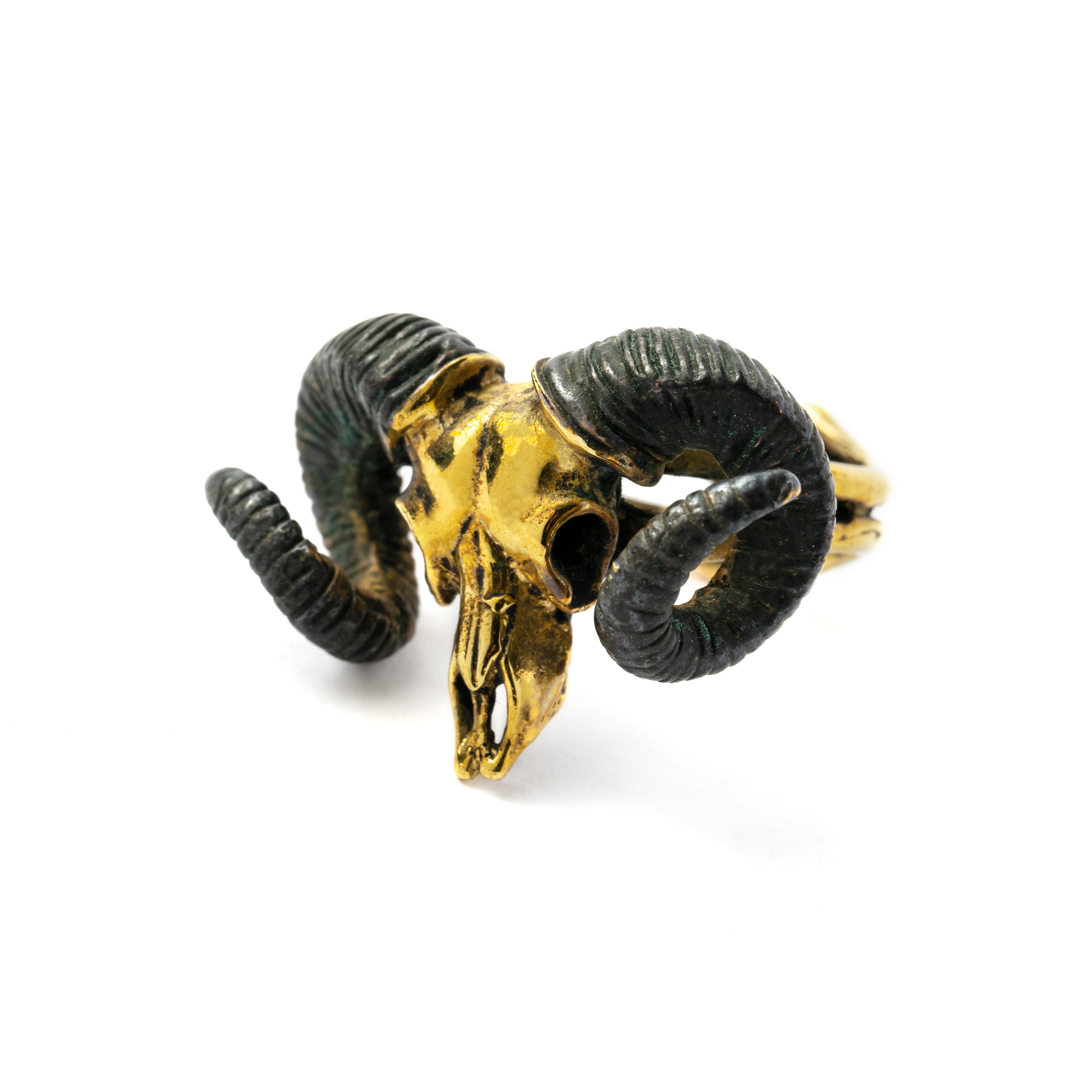 Ram deals skull ring